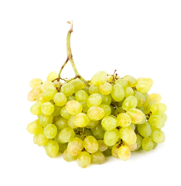Agrupamento de uvas brancas — Fotografia de Stock