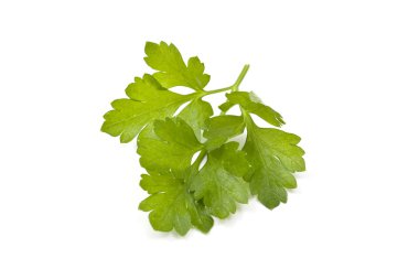 Parsley clipart