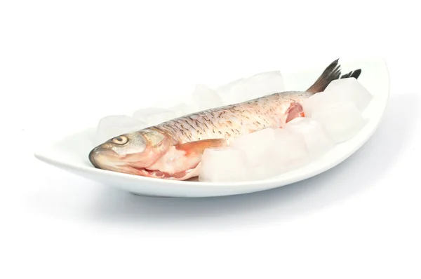 Frozen fish — Stock Photo, Image