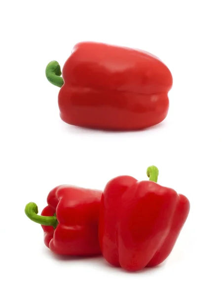 Pimenta suculenta vermelha — Fotografia de Stock