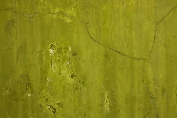 Оливкова стіни — стокове фото