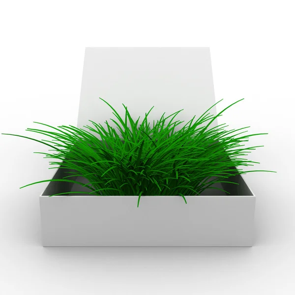 Caja abierta con hierba. Imagen 3D aislada —  Fotos de Stock