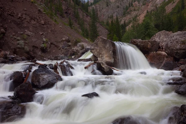 Río de montaña. agua corriente rápida. paisaje de verano —  Fotos de Stock