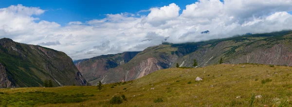 阿尔泰山。美丽的高原风景 — 图库照片