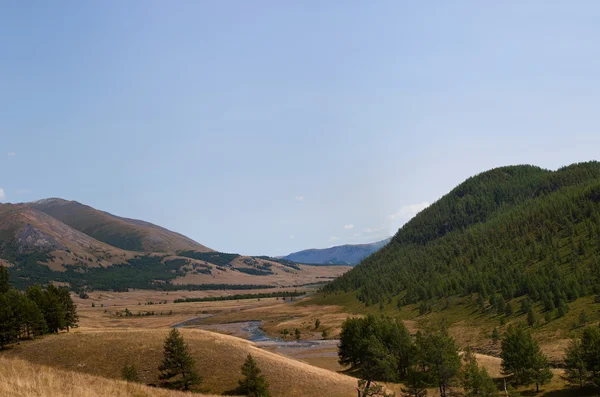 Алтаю. Красивий краєвид highland — стокове фото