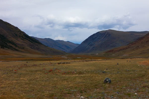 Montañas Altai. Hermoso paisaje de tierras altas —  Fotos de Stock