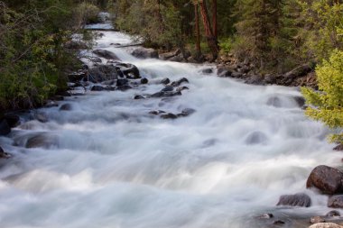 Mountain river. fast stream water. summer landscape clipart