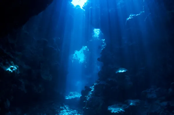 Podwodne tło — Zdjęcie stockowe