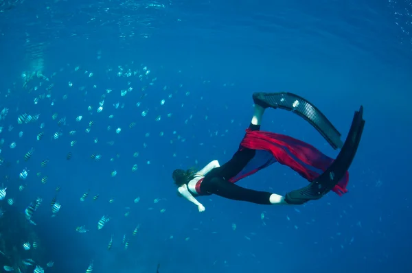 Underwater overindulgence — Stock Photo, Image