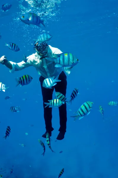 Mannen en goudvis. onderwater dirigent. — Stockfoto