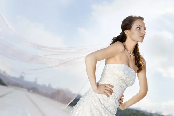 Bride on the road — Stock Photo, Image