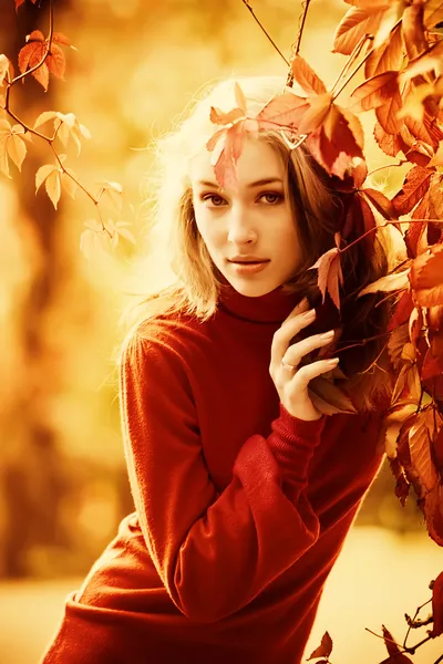 Miss autumn — Stock Photo, Image