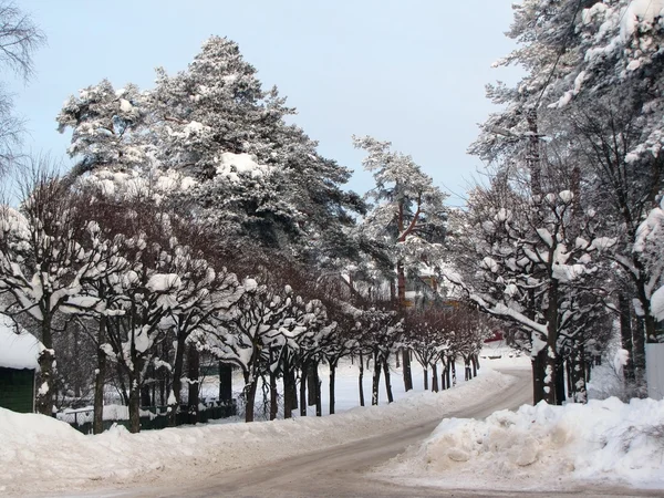 stock image Winter road