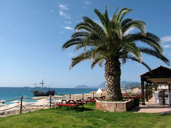 Palme im Café am Strand in der Türkei — Stockfoto