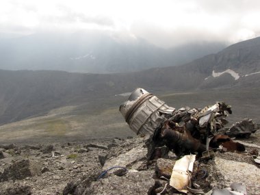 The remains of the aircraft after the crash clipart