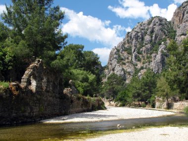 Ancient city of Olympos in Turkey