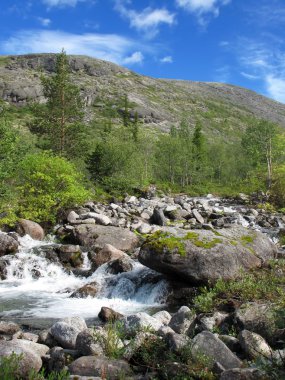 Mountain river in Khibiny, Russia clipart