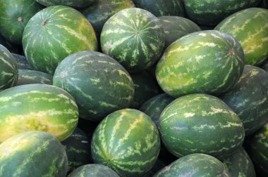 Watermelons clipart