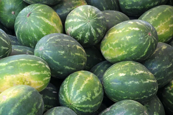 Melons d'eau — Photo