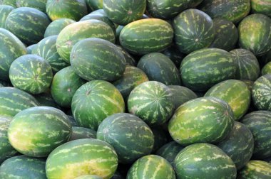 Watermelons heap clipart