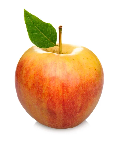 Rött äpple — Stockfoto