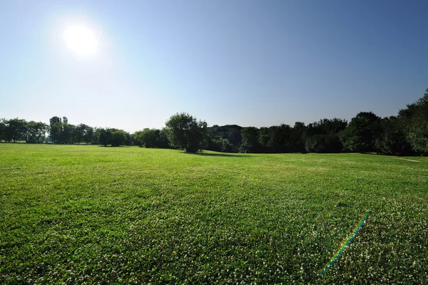 stock image Morning landscape