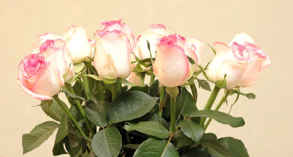Bukiet róż — Zdjęcie stockowe