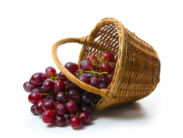 Winogron w koszyku — Zdjęcie stockowe