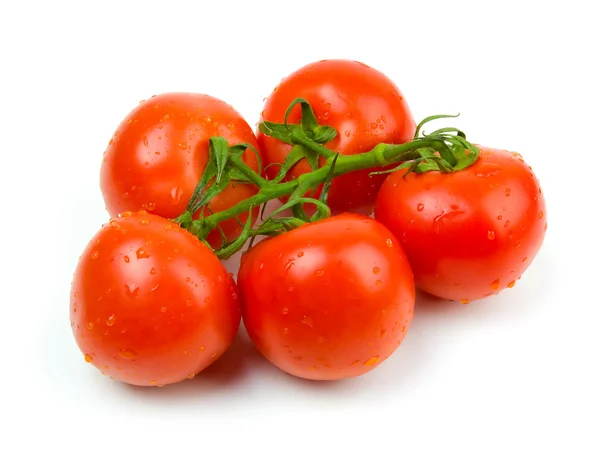 stock image Ripe tomatoes