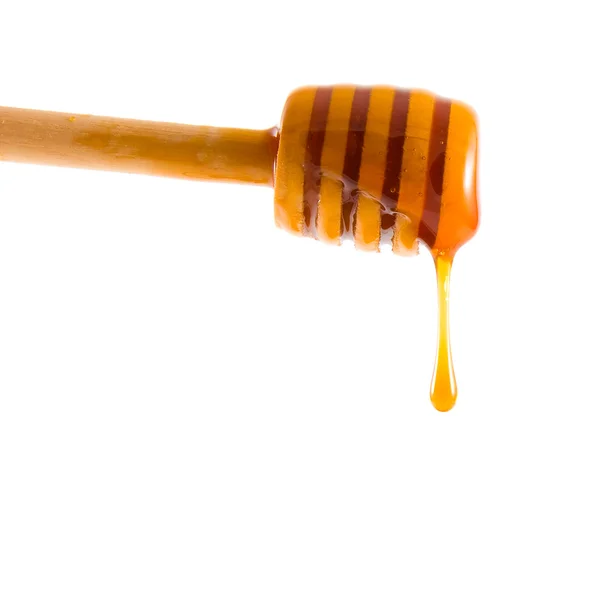 Gota de mel — Fotografia de Stock