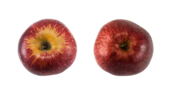 Roter Apfel Stockbild