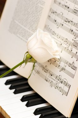 Кose over music sheets and piano clipart