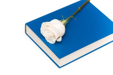 White rose on blue book isolated clipart