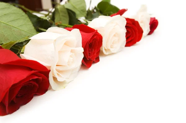 Rosen auf weißem Hintergrund angeordnet — Stockfoto