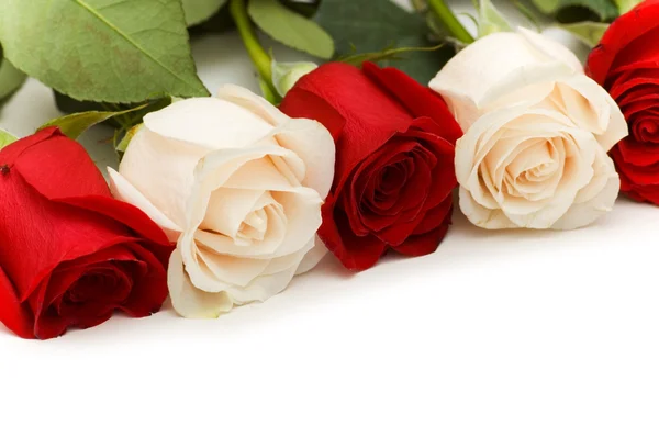 Bílé a červené růže, samostatný — Stock fotografie