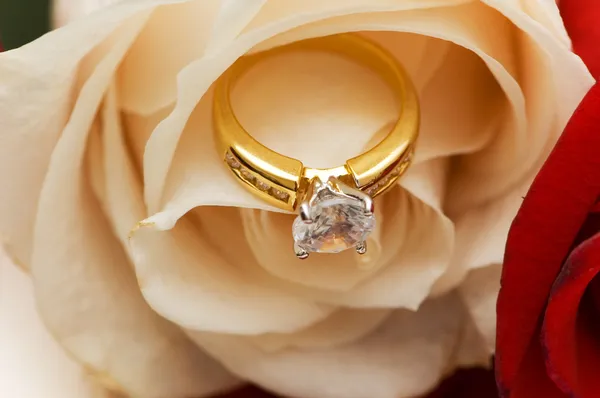 钻石戒指之间的玫瑰花瓣 — 图库照片
