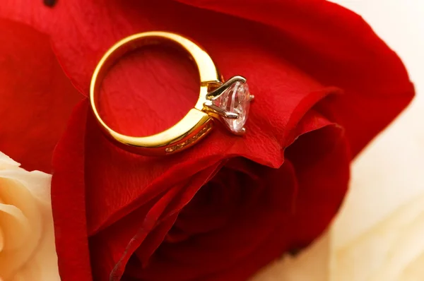 Conceito de casamento anel dourado — Fotografia de Stock