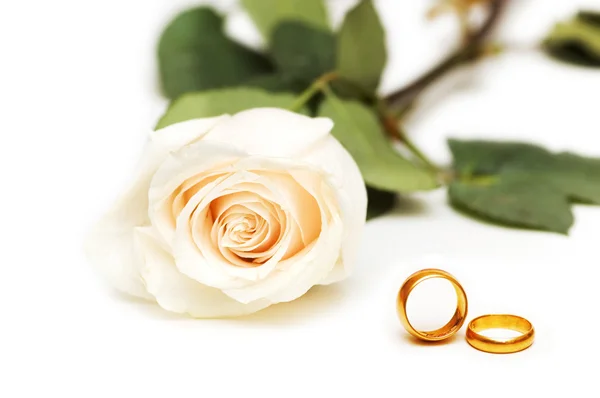 Rose e anéis de casamento isolados — Fotografia de Stock