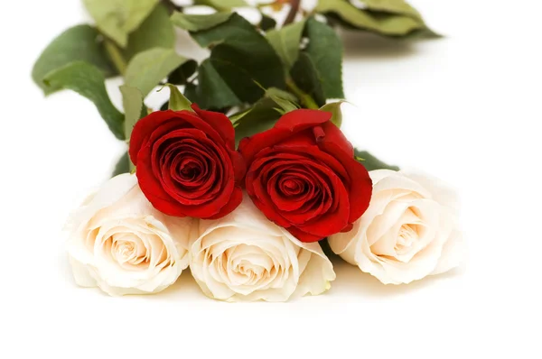 Pět růže izolovaných na bílém — Stock fotografie