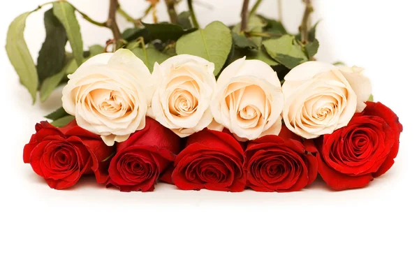 Красные и белые розы изолированы — стоковое фото