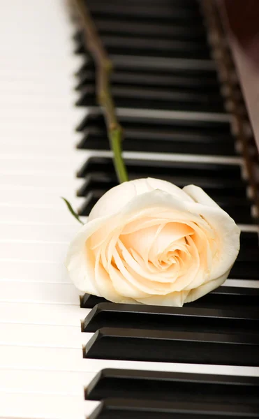 Concepto romántico - rosa en el piano — Foto de Stock