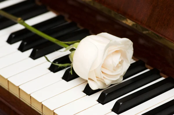 Romantik konsept - gül piyanoda — Stok fotoğraf