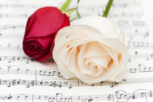 Rosas brancas e vermelhas em notas musicais — Fotografia de Stock