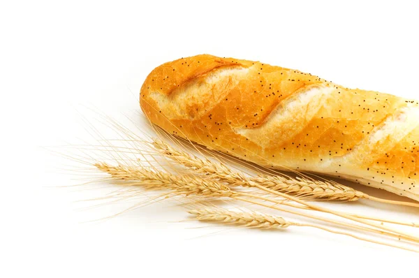 Pão e trigo orelhas isoladas — Fotografia de Stock