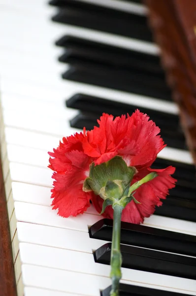 Romantiska koncept - nejlika på piano — Stockfoto
