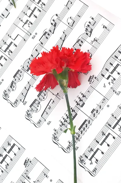 Oeillet fleur sur notes musicales — Photo
