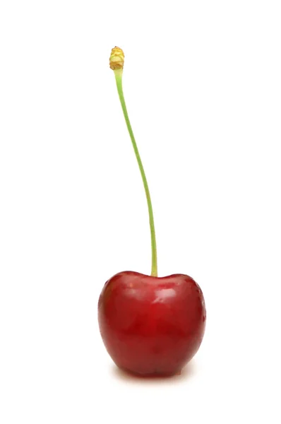 Red cherry isolated on the white — Stock Photo, Image