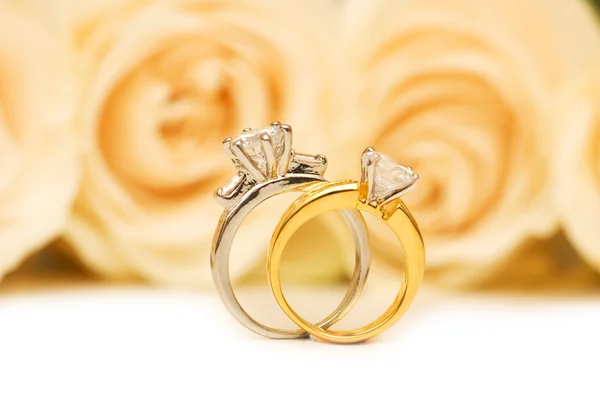 Rosas y anillos de boda aislados Imagen de stock