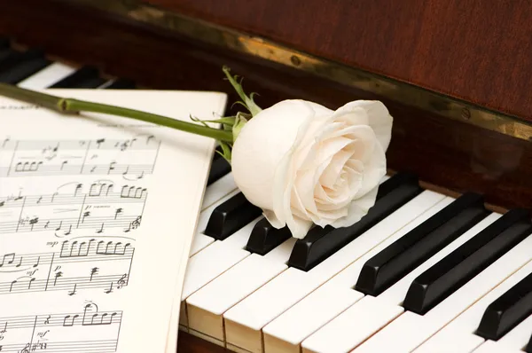 Weiße Rose über Notenblättern und Klavier lizenzfreie Stockfotos