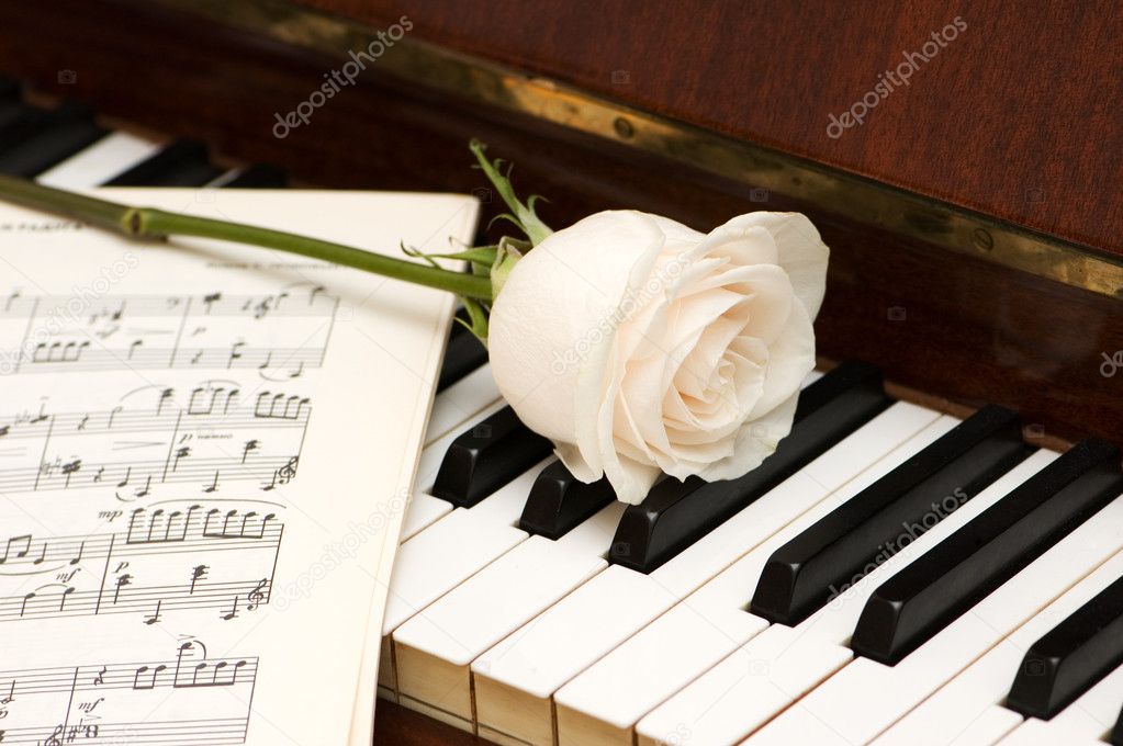 Résultat de recherche d'images pour "piano et rose blanche"